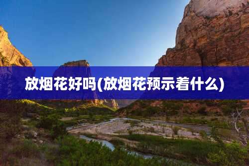 放烟花好吗(放烟花预示着什么)