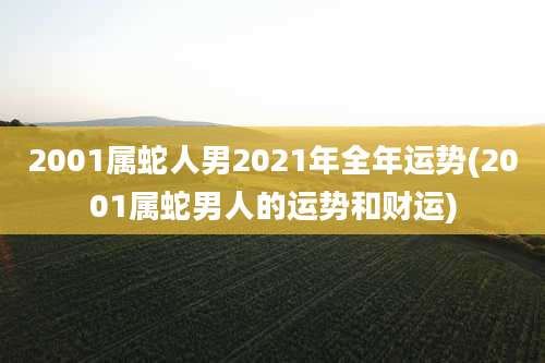 2001属蛇人男2021年全年运势(2001属蛇男人的运势和财运)