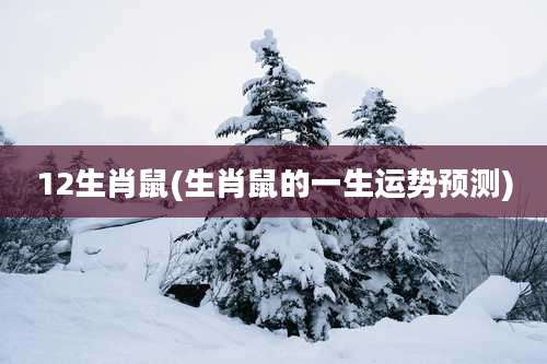 12生肖鼠(生肖鼠的一生运势预测)