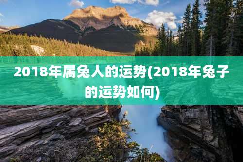 2018年属兔人的运势(2018年兔子的运势如何)