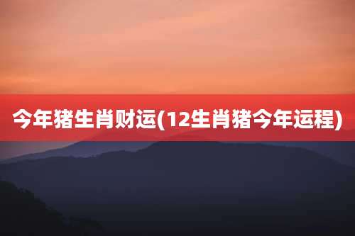 今年猪生肖财运(12生肖猪今年运程)
