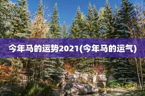 今年马的运势2021(今年马的运气)