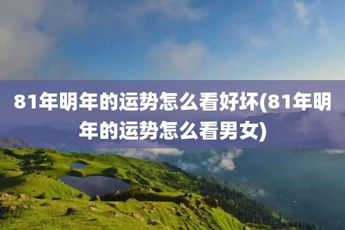 81年明年的运势怎么看好坏(81年明年的运势怎么看男女)