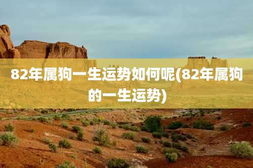 82年属狗一生运势如何呢(82年属狗的一生运势)
