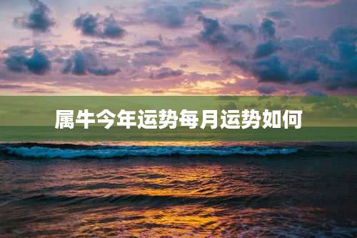 属牛今年运势每月运势如何