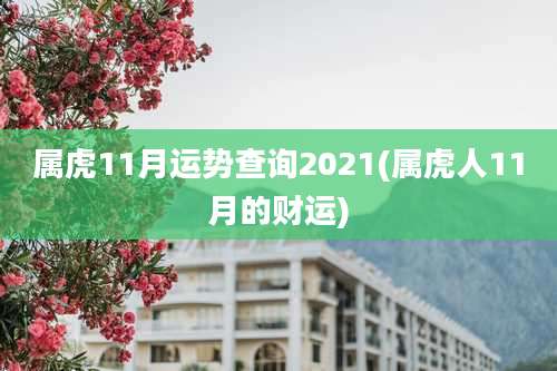 属虎11月运势查询2021(属虎人11月的财运)