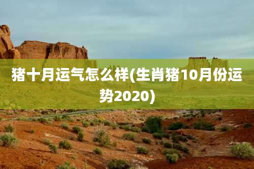猪十月运气怎么样(生肖猪10月份运势2020)