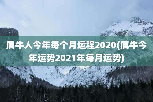 属牛人今年每个月运程2020(属牛今年运势2021年每月运势)