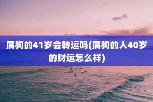 属狗的41岁会转运吗(属狗的人40岁的财运怎么样)