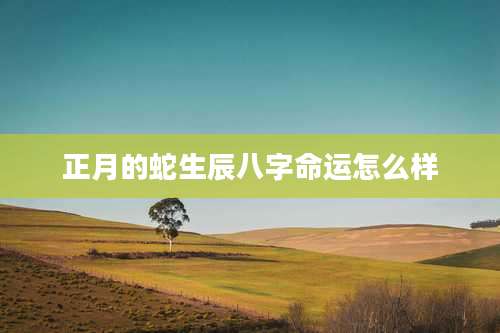 正月的蛇生辰八字命运怎么样