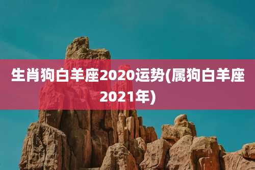 生肖狗白羊座2020运势(属狗白羊座2021年)