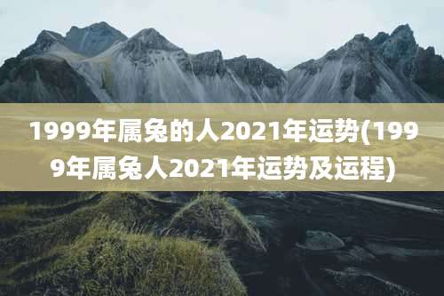 1999年属兔的人2021年运势(1999年属兔人2021年运势及运程)