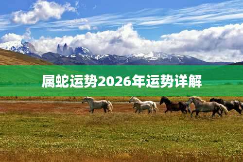 属蛇运势2026年运势详解