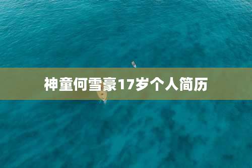 神童何雪豪17岁个人简历