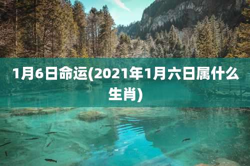1月6日命运(2021年1月六日属什么生肖)