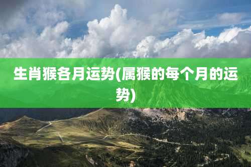 生肖猴各月运势(属猴的每个月的运势)