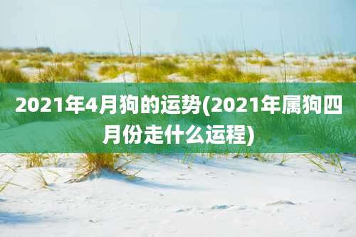 2021年4月狗的运势(2021年属狗四月份走什么运程)