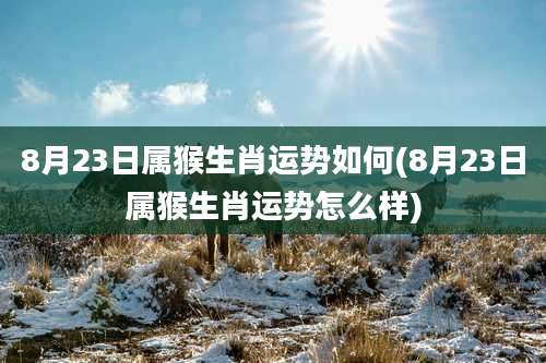 8月23日属猴生肖运势如何(8月23日属猴生肖运势怎么样)