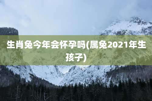 生肖兔今年会怀孕吗(属兔2021年生孩子)