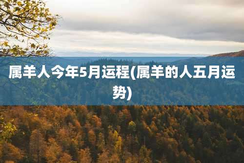属羊人今年5月运程(属羊的人五月运势)