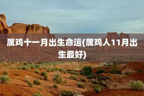 属鸡十一月出生命运(属鸡人11月出生最好)