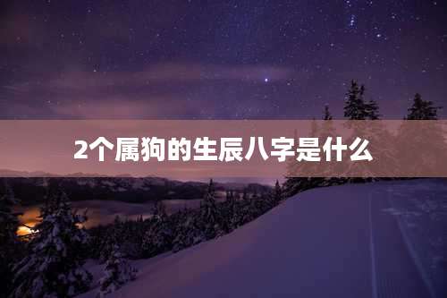 2个属狗的生辰八字是什么