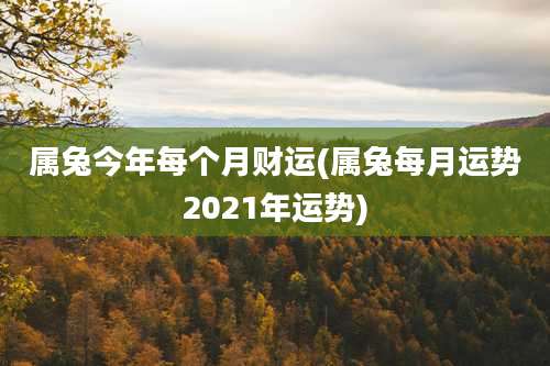 属兔今年每个月财运(属兔每月运势2021年运势)