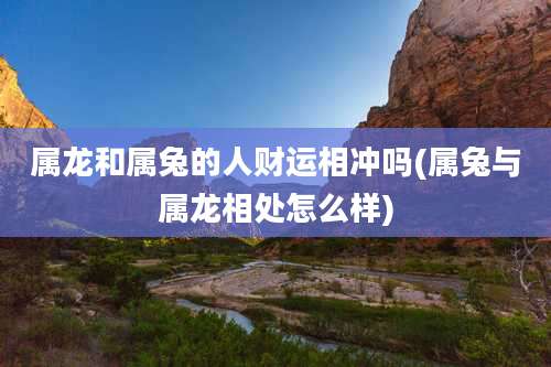 属龙和属兔的人财运相冲吗(属兔与属龙相处怎么样)