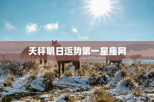 天秤明日运势第一星座网