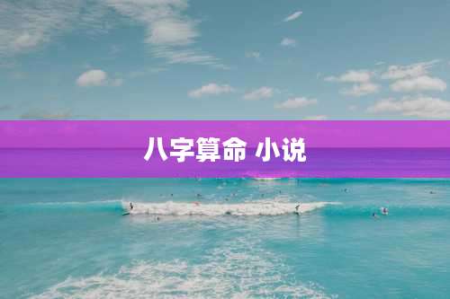 八字算命 小说