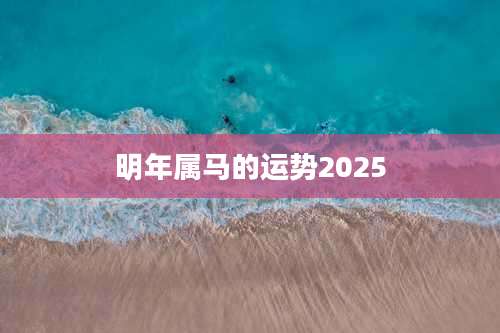 明年属马的运势2025