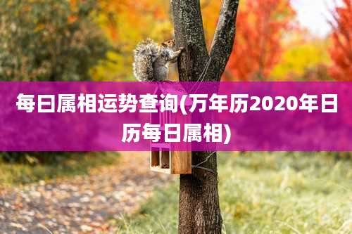 每曰属相运势查询(万年历2020年日历每日属相)