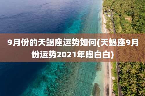9月份的天蝎座运势如何(天蝎座9月份运势2021年陶白白)
