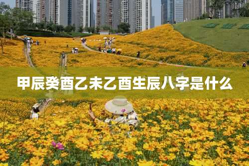 甲辰癸酉乙未乙酉生辰八字是什么