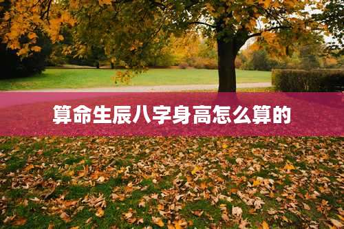 算命生辰八字身高怎么算的