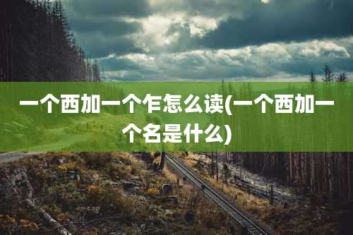 一个西加一个乍怎么读(一个西加一个名是什么)