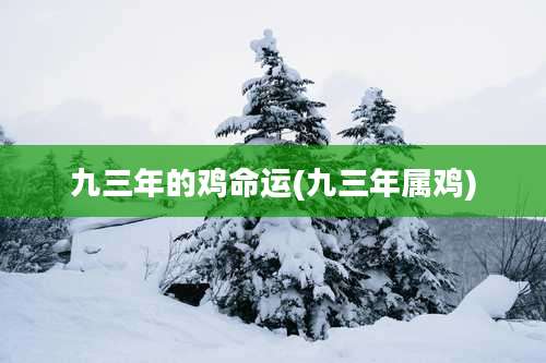 九三年的鸡命运(九三年属鸡)