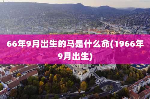 66年9月出生的马是什么命(1966年9月出生)