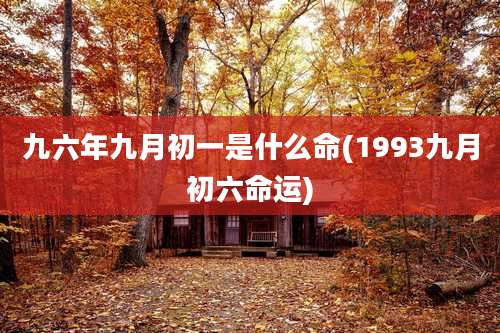 九六年九月初一是什么命(1993九月初六命运)
