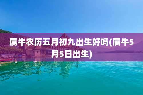 属牛农历五月初九出生好吗(属牛5月5日出生)
