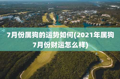 7月份属狗的运势如何(2021年属狗7月份财运怎么样)