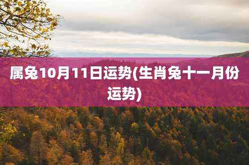 属兔10月11日运势(生肖兔十一月份运势)