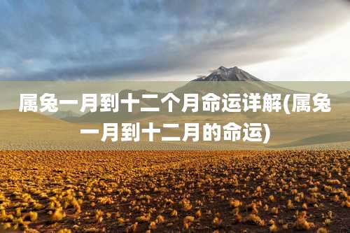 属兔一月到十二个月命运详解(属兔一月到十二月的命运)