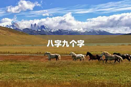 八字九个字
