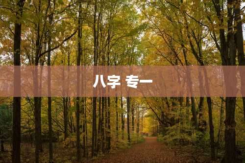八字 专一