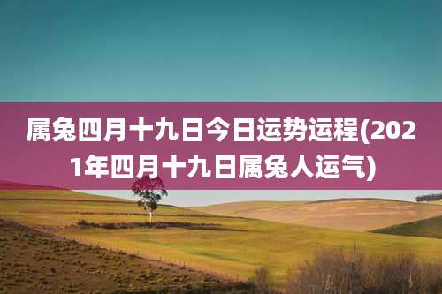 属兔四月十九日今日运势运程(2021年四月十九日属兔人运气)