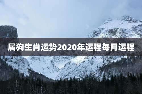 属狗生肖运势2020年运程每月运程