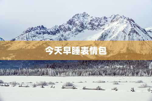 今天早睡表情包