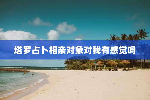 塔罗占卜相亲对象对我有感觉吗