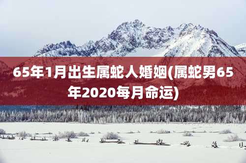 65年1月出生属蛇人婚姻(属蛇男65年2020每月命运)